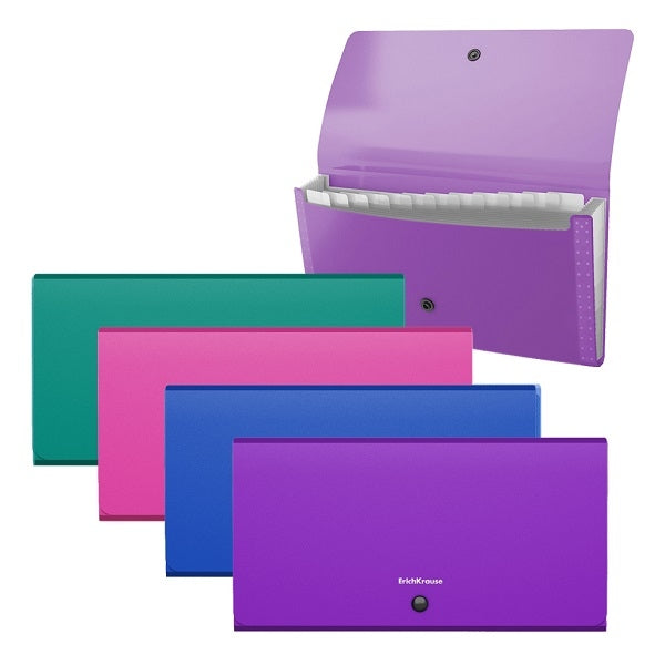 Папка с копче ErichKrause® Matt Vivid, Check size, с 12 джоба